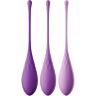 Conjunto de Treinamento de Kegel Fantasy For Her