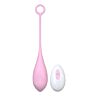 Ovo Vibratório Loving Joy com Controlo Remoto e 10 Funções