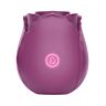 Vibrador de sucção clitoriana Loving Joy em roxo