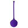 Kegel Fit Roxo