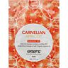 Óleo de Massagem Carnelian Apricot Exsens 3 ml