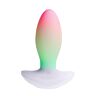 Vibrador Paradise Pleasure Products The Plug com iluminação RGB