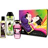 Kit Fruity Kisses SHUNGA KITS para casais
