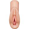 Masturbador PDX PLUS+ PERFECT PUSSY HEAVEN com textura realista