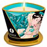 Vela de Massagem SHUNGA Island Blossoms 170 ml