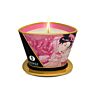 Vela de massagem SHUNGA Mini Caress