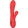 Vibrador Rabbit CALEXOTICS Palisades Passion com aquecimento