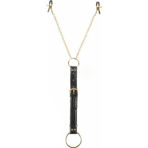 Anel para o Pene e Pinças para os Pezones Fetish Fantasy Gold