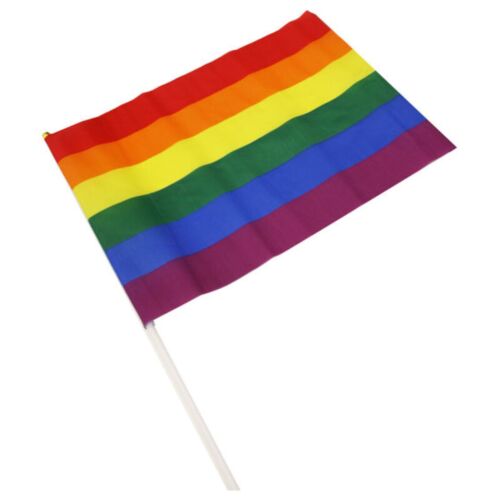 Artigos divertidos PRIDE Bandeira Grande LGBT