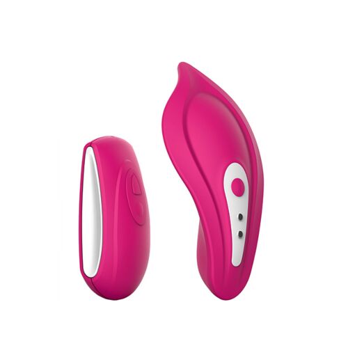 Vibrador Panty Vibe Recargável Liebe