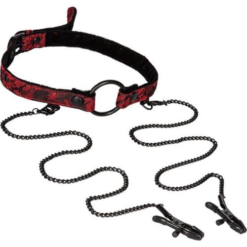 Mordaza com Pinças Scandal bondage