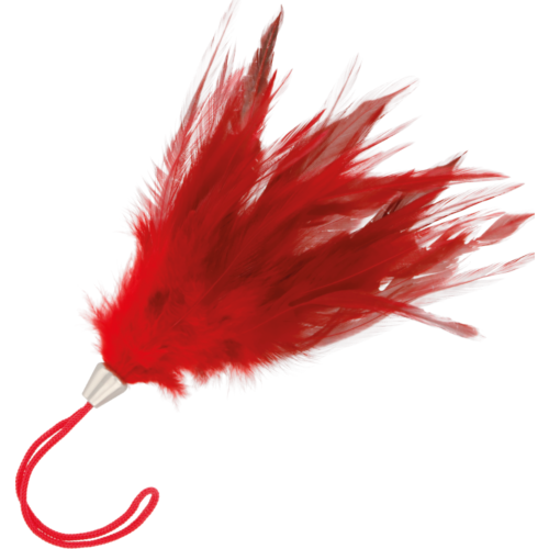 Pluma Estimuladora DARKNESS 17cm com Mango para Fácil Agarre