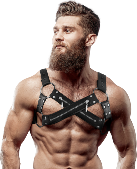 Arnês Bulldog Neoprene Cross-Chest