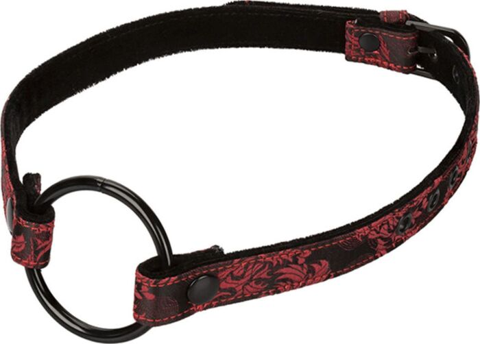 Escândalo mordaça de boca aberta