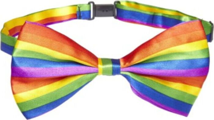 Bowtie bandeira do orgulho lgbt