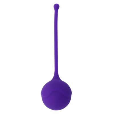 Kegel Fit Roxo