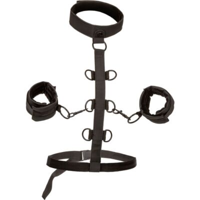 Arnês de Restrição Ilimitada