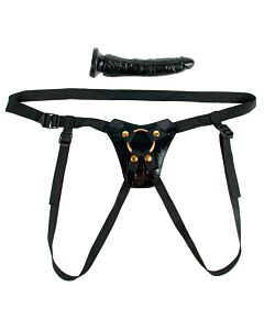 Harness diz ouro Fetish fantasy