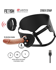 Arreios Cyber Control