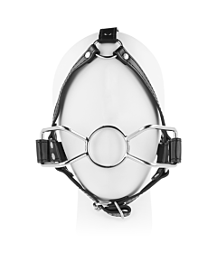 Aracnídeo Headgear