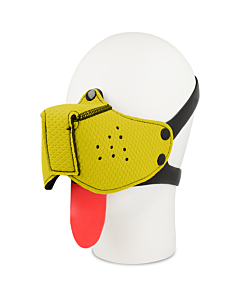 Mordaça Amarela Ohmama