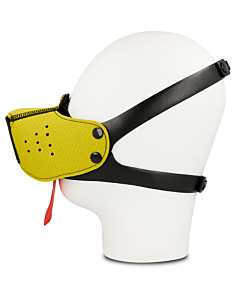 Mordaça Amarela Ohmama