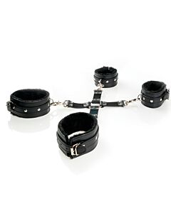 Esposa Dominatrix Fantasia