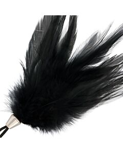 Pluma Estimuladora DarkTouch