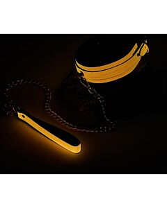 Colar e Trela Radiant Glow in the Dark Laranja da Dream Toys