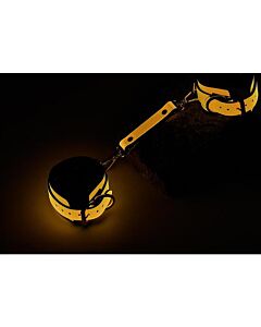 Brilhantes algemas laranja luminosas que brilham no escuro - Dream Toys