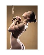 corda shirabi marrom