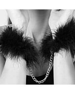 Plumas de Sedução