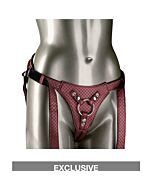 A rainha real - arreios básicos de prata