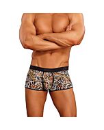 Homem de impressão poder leopardo short marrom