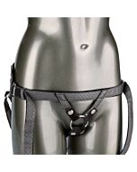 A princesa real - gris