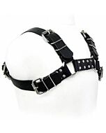 Leather body black bull dog harness