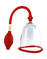 peitos de Desenvolvedor