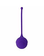 Kegel Fit Roxo