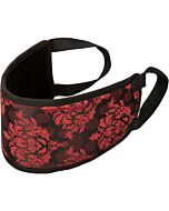 Bj escândalo mordaça