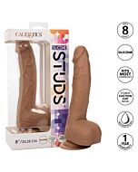 Silicone Studs Brown Joy

Estudos de Silicone Alegria Marrom