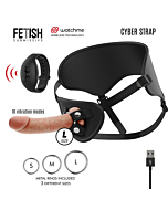 Arreios Cyber Control