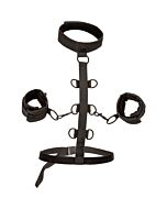 Arnês de Restrição Ilimitada