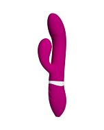 Ivibe select icome rosa
