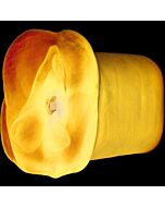 Apollo Blue masturbador dupla densidade