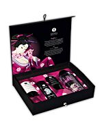 Shunga momentos íntimos kit impertinente