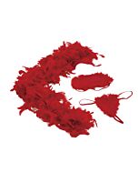 Amour kit dona de casa sexy