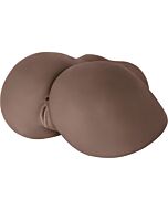 bebê matéria-Vivid voltamos