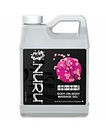 Wet nuru concentrado gel masaje 1077 kgs