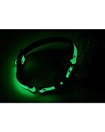 Mordaça Radiante Brilhante Verde - Dream Toys - Sex Shop