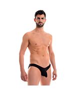 Deslizamento bardo preto